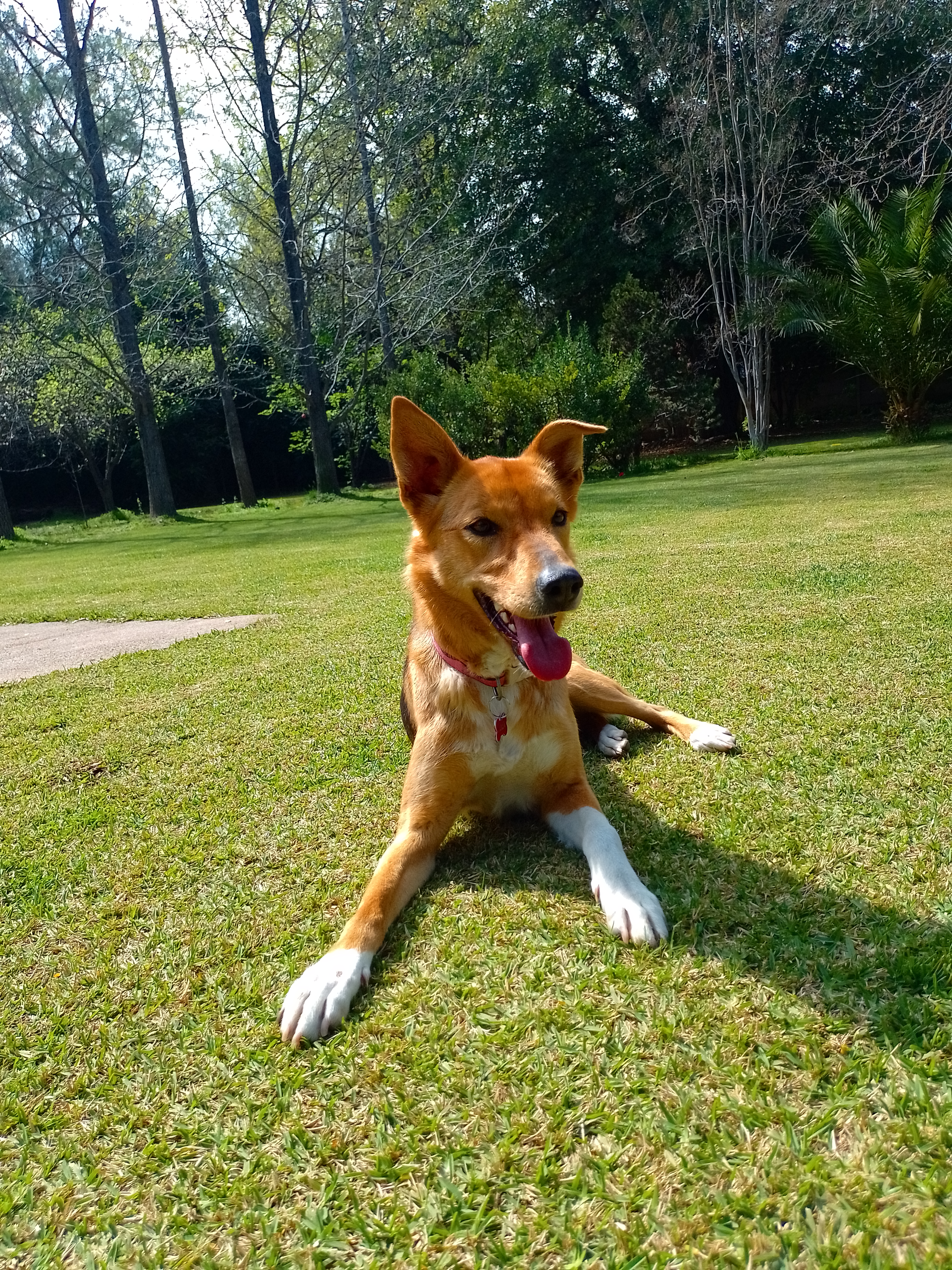 Lola
